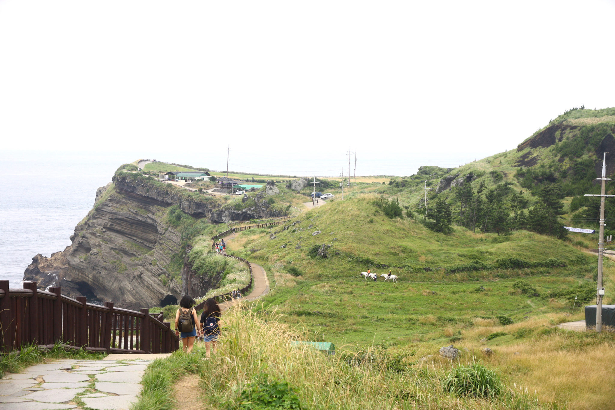 4 Girls’ Self-Drive Jeju Road Trip Experience (Itinerary Included)