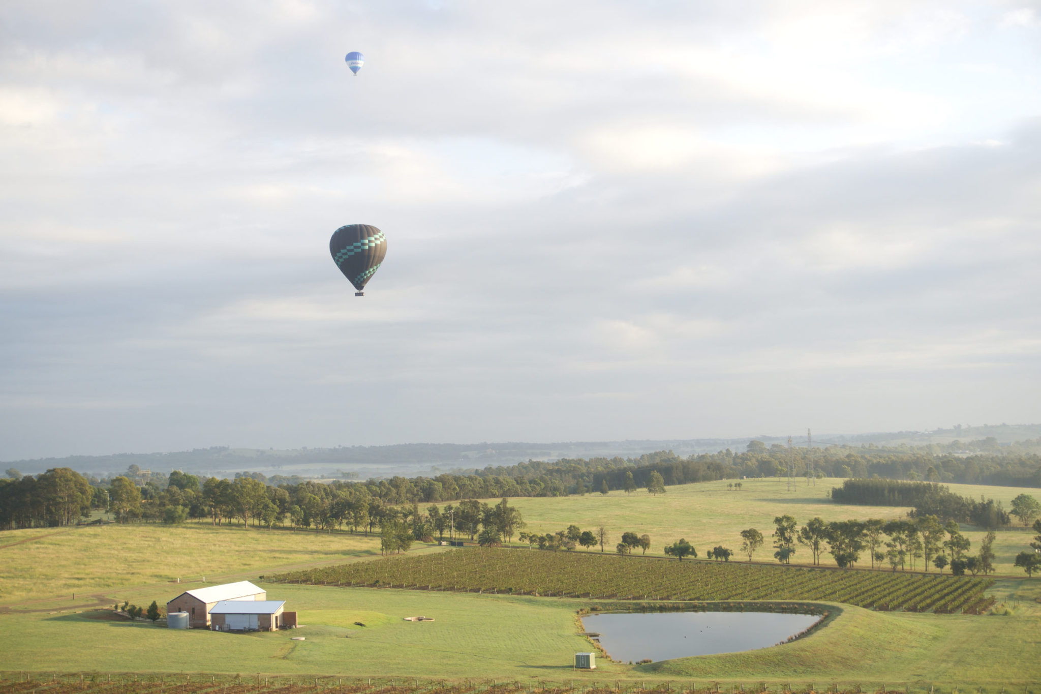Sydney and New South Wales Road Trip Itinerary, Day 3: Hunter Valley