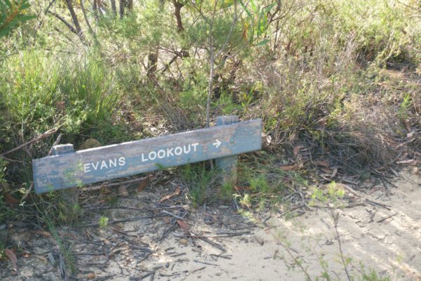Evans Lookout Sydney 31