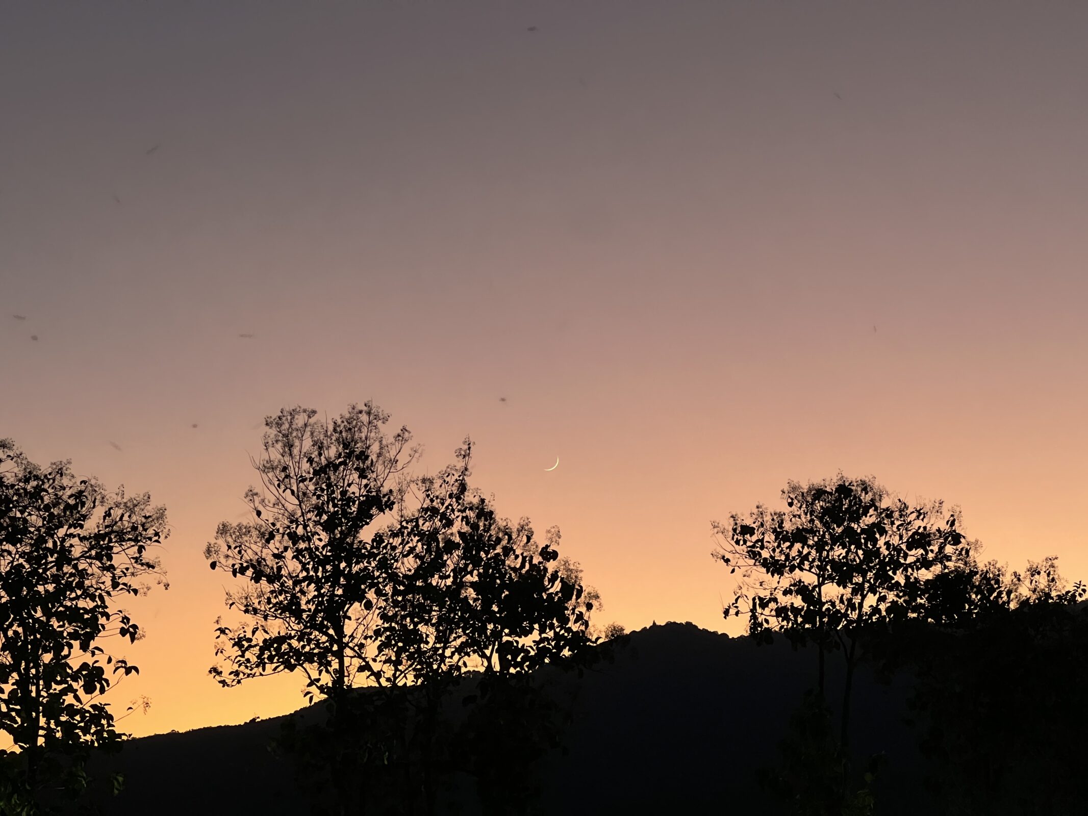 Protected: #15 | J+D in Chiang Mai: Turning the Page